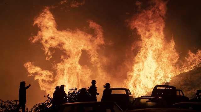 Şili'de orman yangını çıktı
