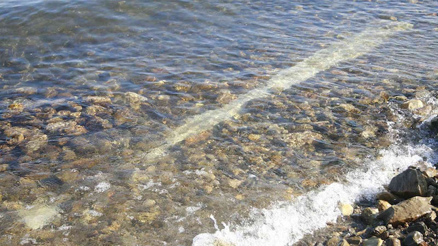 Gölyaka sahilinde yaklaşık 2,5 metre uzunluğunda üzerinde yazılar bulunan bir sütun ortaya çıktı.