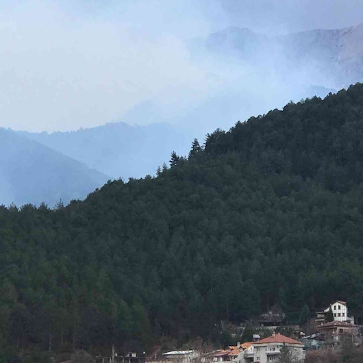 Denizli'de orman yangını
