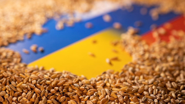 Ukrayna: Rusya'nın Tahıl Koridoru Anlaşması kararı çelişkili