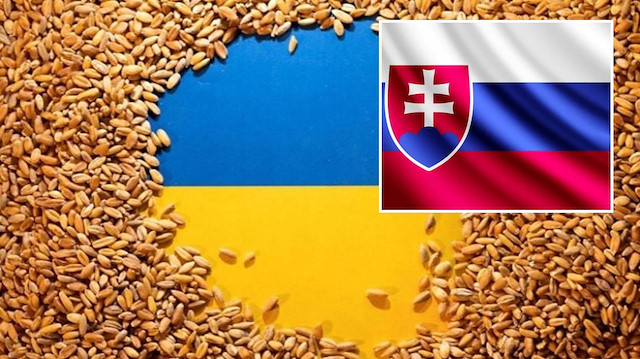 Slovakya'dan Ukrayna'dan tahıl ithalatını durdurma kararı