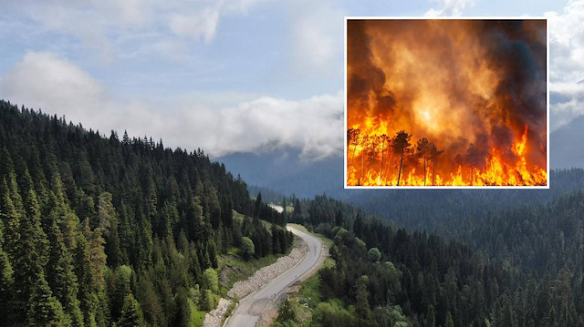 81 ile genelge: Yangın riski nedeniyle orman alanlarına girişler yasaklandı