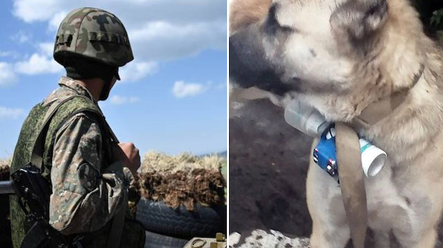 Ermenistan'dan Azerbaycan'a bombalı köpekle saldırı girişimi