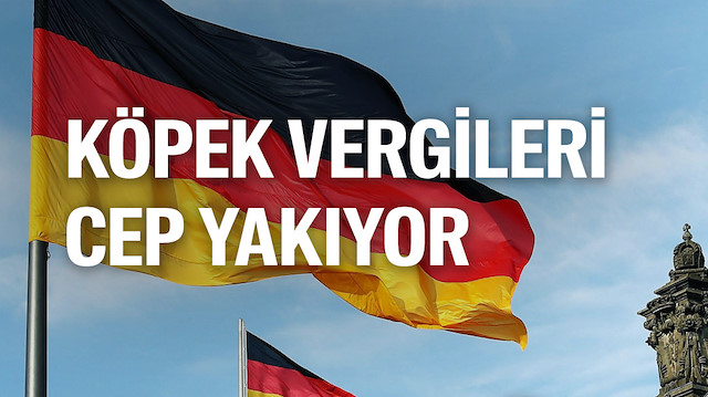 Almanya köpek vergisinden rekor kırdı