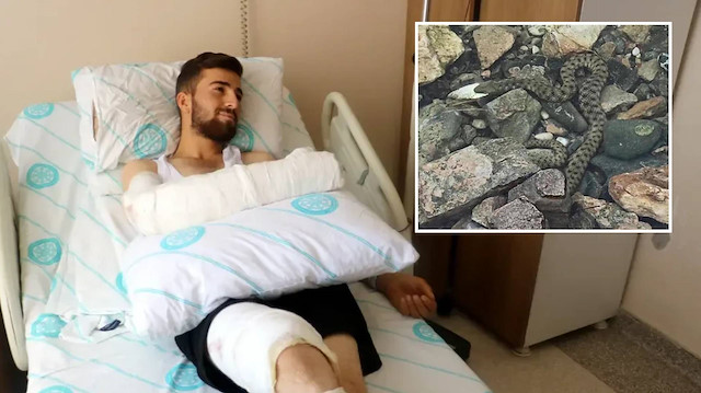 Sivas'ta su içmek isterken yılan soktu: Dünyanın en zehirli yılanı çıktı