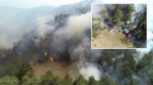 Bolu'da orman yangını: 28 saattir müdahale ediliyor