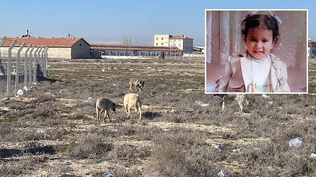 Minik Rana'nın otopsi raporu çıktı: Köpeklerin saldırısında can vermişti