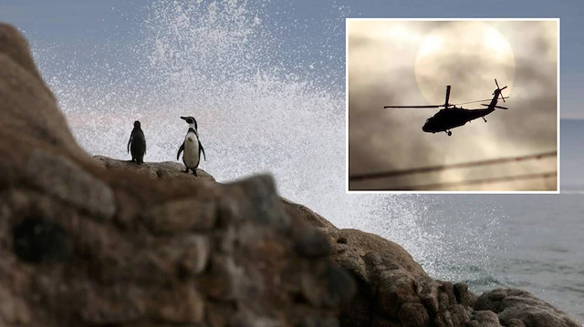 Helikopteri penguen düşürmüş: Kazanın raporu ortaya çıktı