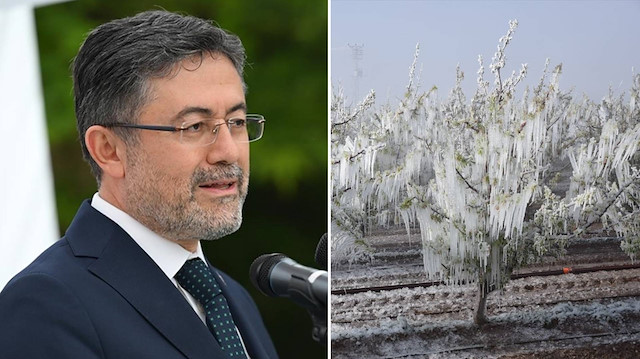Bakan Yumaklı'dan 'zirai don' açıklaması: Hasar tespit çalışmasına başladık