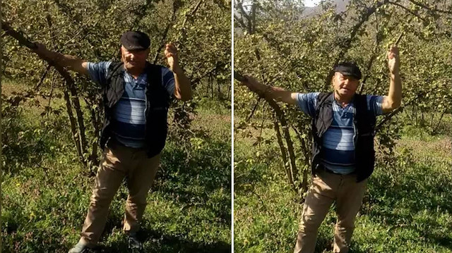 Fındık tarlaları zirai dondan etkilendi: Karadenizli çiftçi veryansın etti