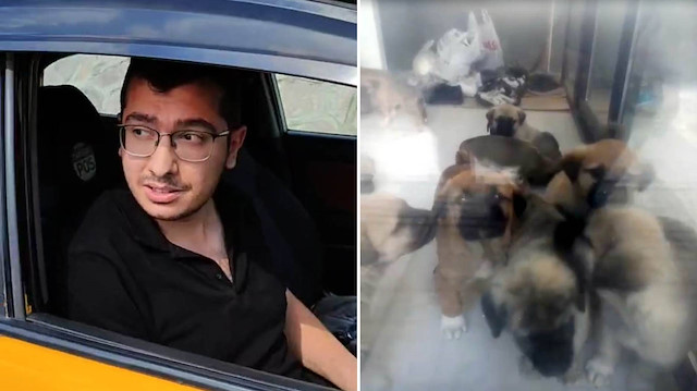 Evinde köpekleri öldüren doktordan akılalmaz savunma: Balkondan kaçtılar