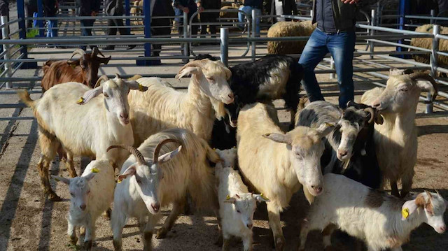 Balıkesir'de alarm: 15 mahalle karantinaya alındı