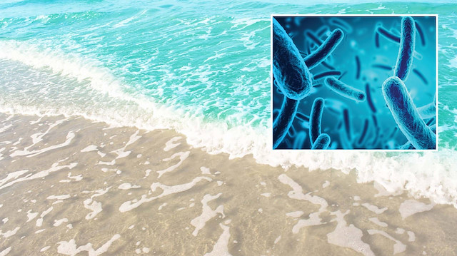 Yaz aylarında bu bakteriye dikkat: Risk yükseliyor