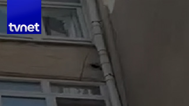Firar eden maymun yakalanamıyor