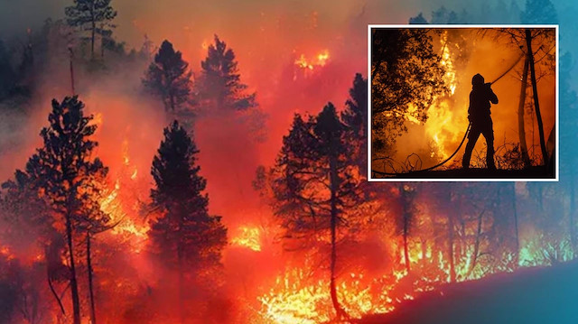 Bolu’daki orman yangını: 8 saatte kontrol altına alındı