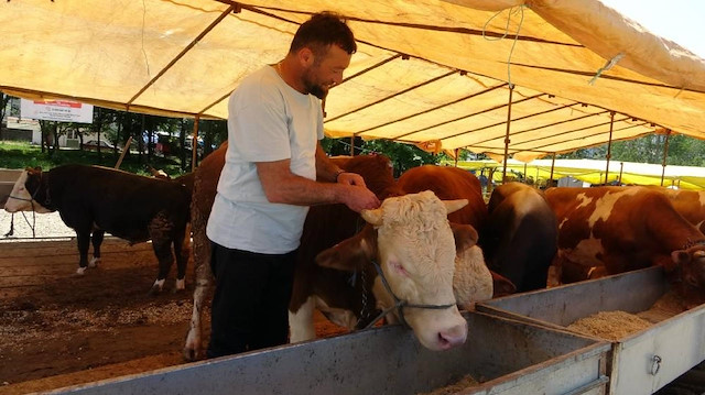 Ülke genelinde tüm hayvan pazarları alelacele kapatıldı: Yeni tür hastalık alarmı