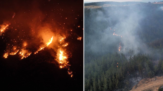 Orman yangınlarıyla mücadelede son durum: Isparta'da 20 hektar alan zarar gördü
