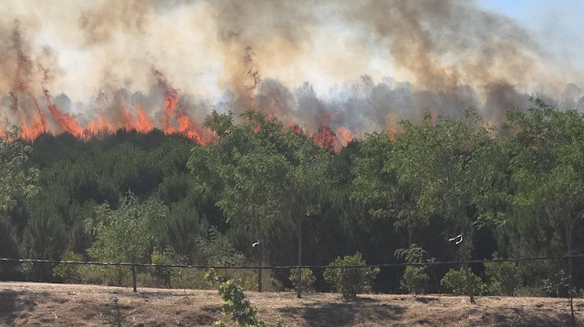 Gebze'de orman yangını paniği
