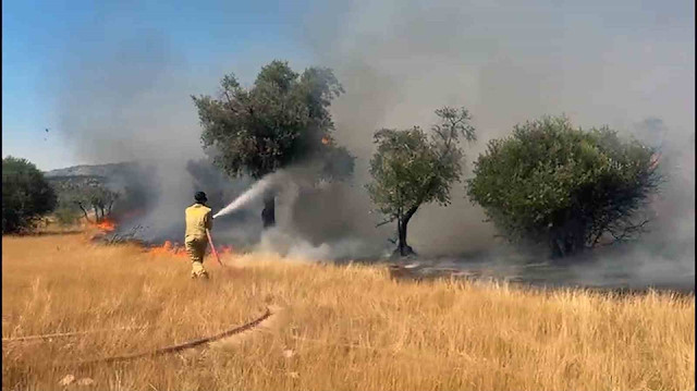 Milas'ta art arda iki zeytinlik yangını çıktı