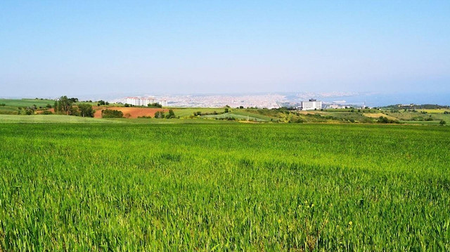 895 milyon liralık arsa ihalesi: İstanbul dahil 4 ilde dev satış... Resmi Gazete’de yayımlandı