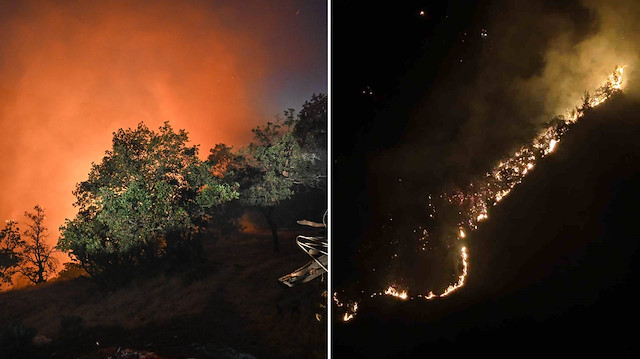 Vali açıkladı: Üç orman yangını kontrol altında... Üç gözaltı