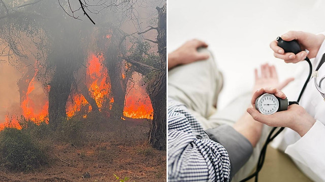 Yalnızca ormanlar değil insan sağlığı da tehdit altında: Özellikle bu grup dikkat etmeli