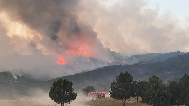 Bakan Memişoğlu'ndan, Eskişehir'deki orman yangınında yaralananların sağlık durumuna ilişkin açıklama