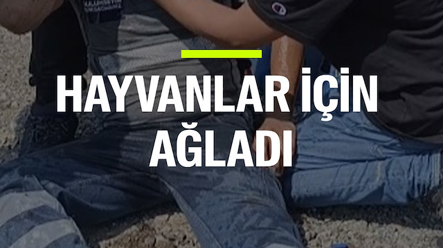 Yangında fenalaşan işçi, ayılınca hayvanlar için üzüldü