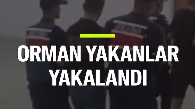Benzin alıp orman yakan 2 şüpheli yakalanıp tutuklandı