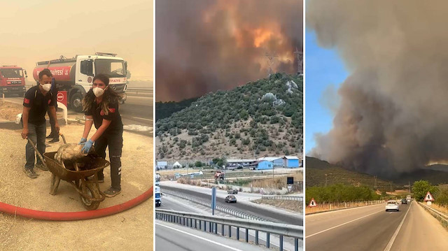 Bursa'da orman yangını: Çiftlik ve evlere yaklaşıyor... Bilecik kara yolu trafiğe kapatıldı