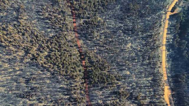 Türkiye'nin oksijen deposuydu: Karabük yangınından geriye kalan içler acısı manzara yürek burktu