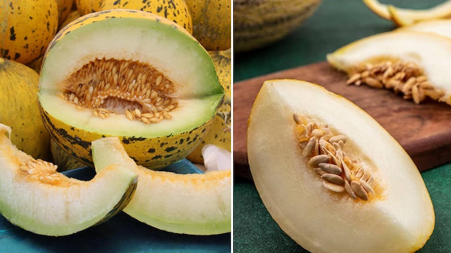 Artık kavun çekirdeğini çöpe atmak yok!