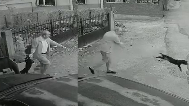 Yavru köpeği kuyruğundan tutup yere fırlattı: Vatandaşlara küfür etti