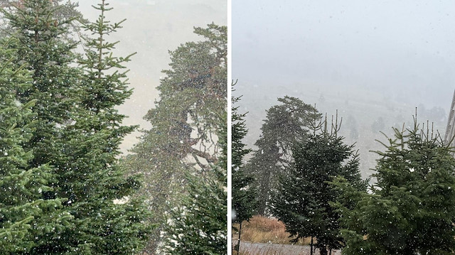 Mevsimin ilk kar yağışı Bolu'da başladı