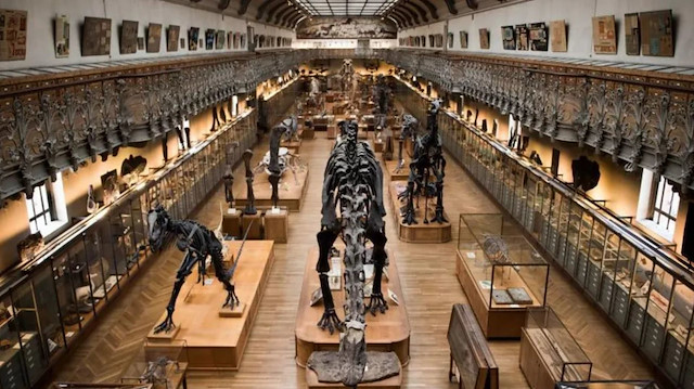 Fransa'da bir soygun daha: Louvre soygunu ile bir bağlantısı var mı?