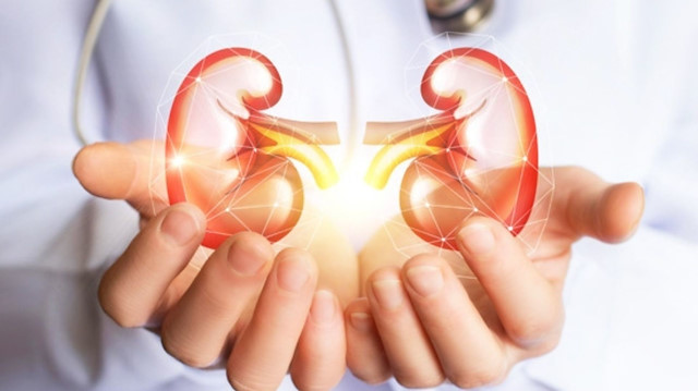 Tıp tarihinde dönüm noktası: İnsanlara domuz böbreği nakli başladı