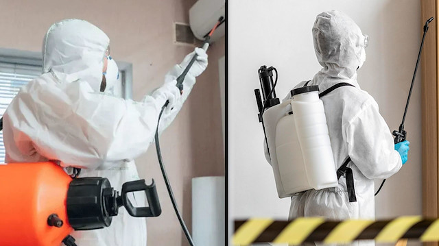 Böcek ailesinin ölümü sonrası gözler ilaçlama şirketlerinde: Üç şirketten biri kayıt dışı...