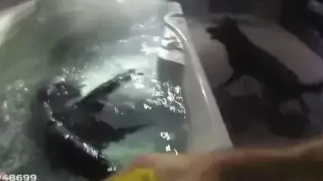 Jakuzide yakalandılar! Lüks araç hırsızları polis tuzağına düştü