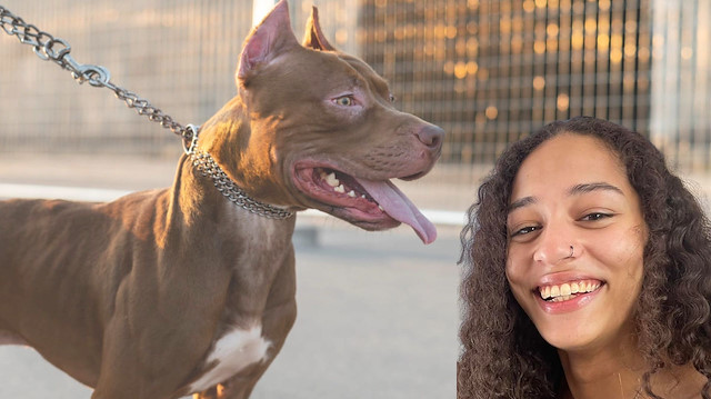 Bakıcılık yaptığı köpekler dehşet saçtı: Talihsiz kadın feci şekilde can verdi