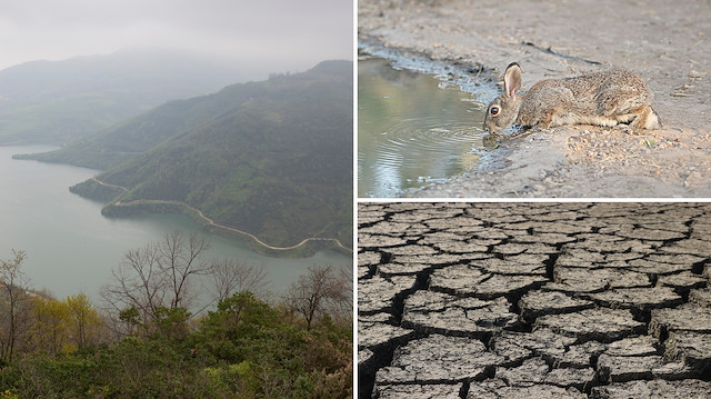 Türkiye'de barajlar alarm veriyor | Uzmanından kritik uyarı: O ilimizin 5-10 yılı kaldı!