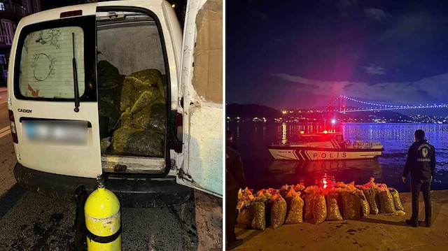 Yasak bölgede toplayıp vatandaşa yedireceklerdi: İstanbul’da 2,3 ton midyeye el konuldu