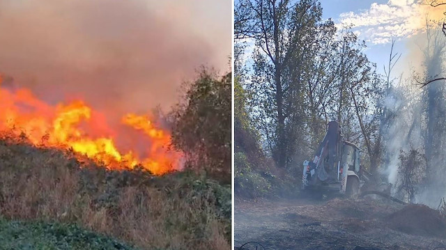 Artvin’de örtü yangını ormana yayıldı: Ekipler seferber oldu