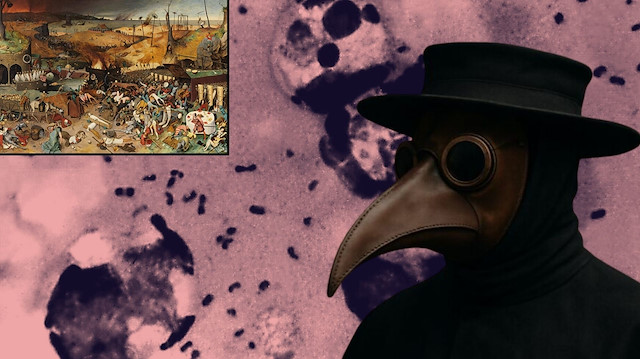 Tarihin en büyük gizemi çözüldü: Avrupa nüfusunun yarısını öldüren Kara Ölüm nasıl ortaya çıktı?