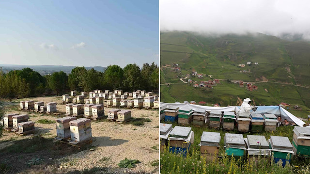 Yılda 10 ton üretiliyor, 100 ton sahtesi satılıyor