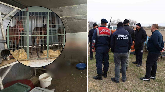 Gizli kesimhane deşifre oldu: 215 kilo kaçak at eti ele geçirildi, işletme kapatıldı