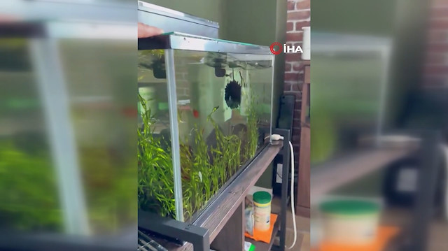 Japonya'da 6.7 büyüklüğünde deprem meydana geldi