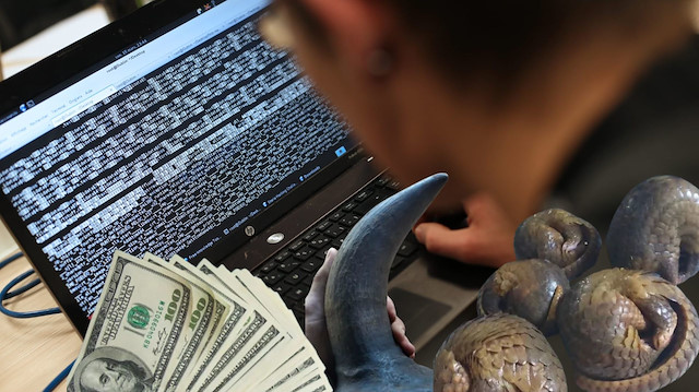 Facebook’ta yasaklı tür ticareti: Kaplan ve yüzgeç satışı ortaya çıktı