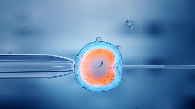 Sahte test belgelerinden sahte embriyo transferlerine: Tüp bebek merkeziyle ilgili ağızları açık bırakan iddialar