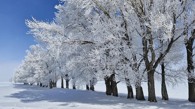 ZEMHERİ AYI NEDİR, KAÇ GÜN SÜRER?  Zemheri ne zaman, hangi tarihlerde? Zemheri ne demek?
