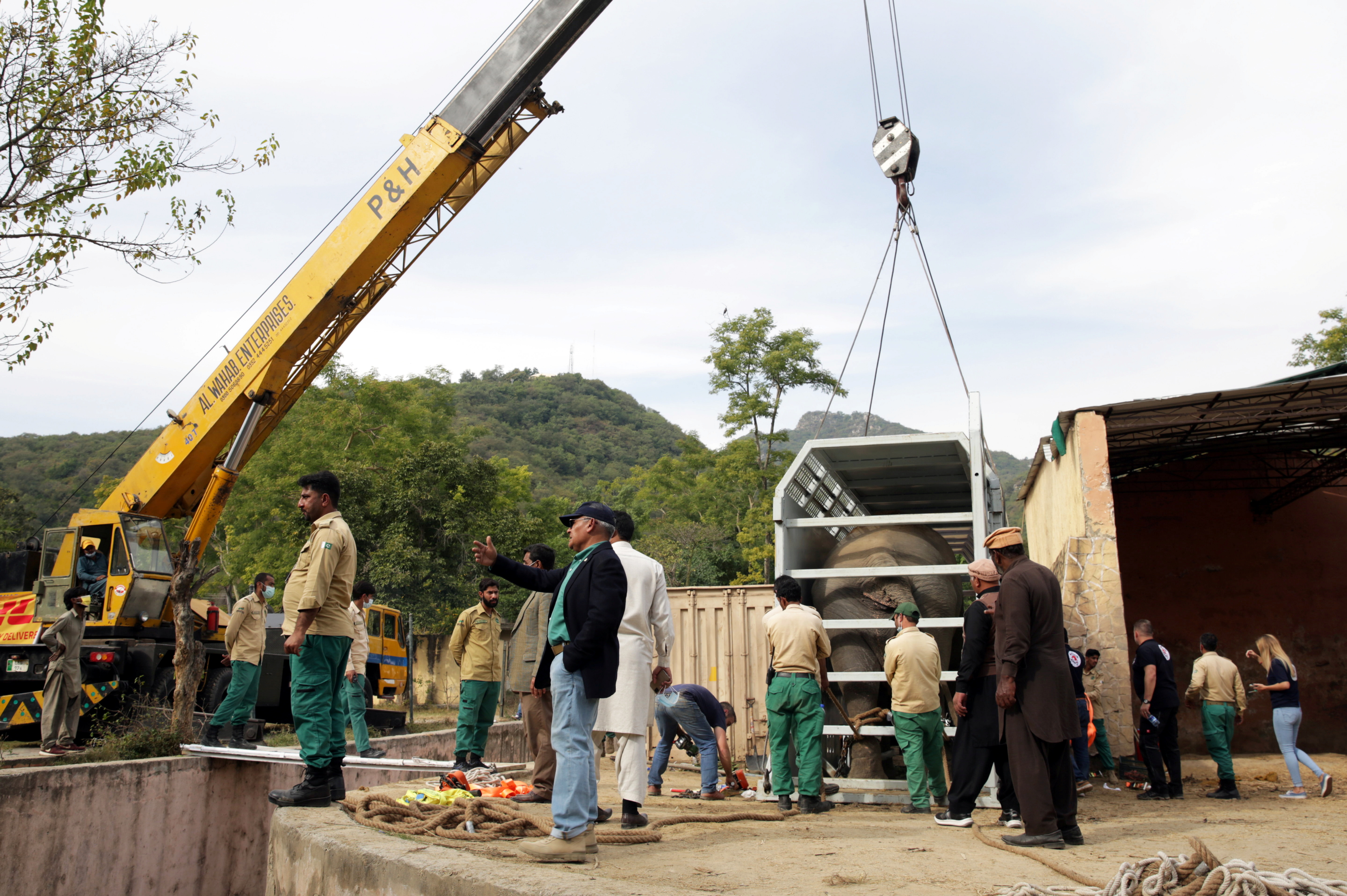 Pakistan's 'loneliest' elephant airlifted to Cambodia